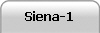 Siena-1